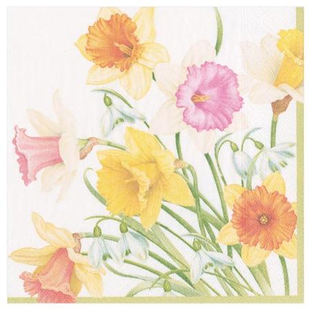 Paper Beverage Napkins Daffodil Waltz