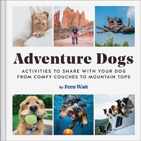 Adventure Dogs Book