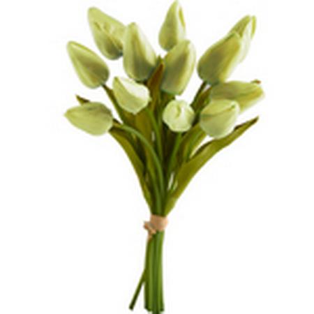 Tulip Stem 10